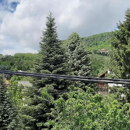 Гостевой дом Nagy Vendeghaz 3*