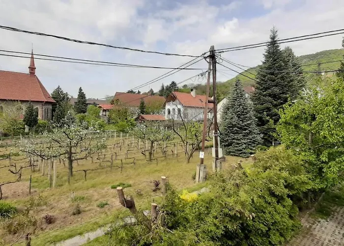 Nagy Vendeghaz Vendégház Badacsonytomaj